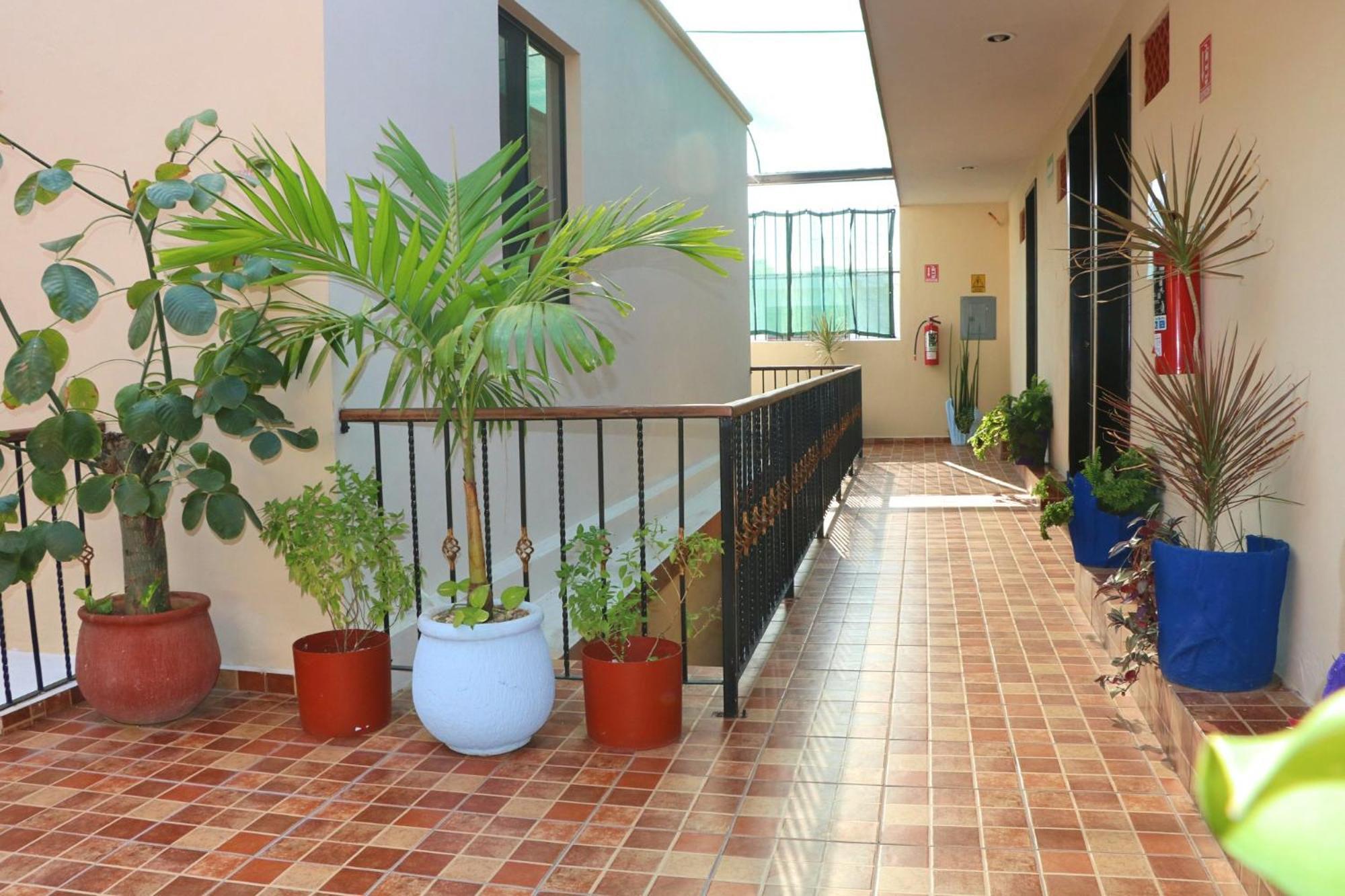 Hotel Casa Pellegrin Mérida Buitenkant foto