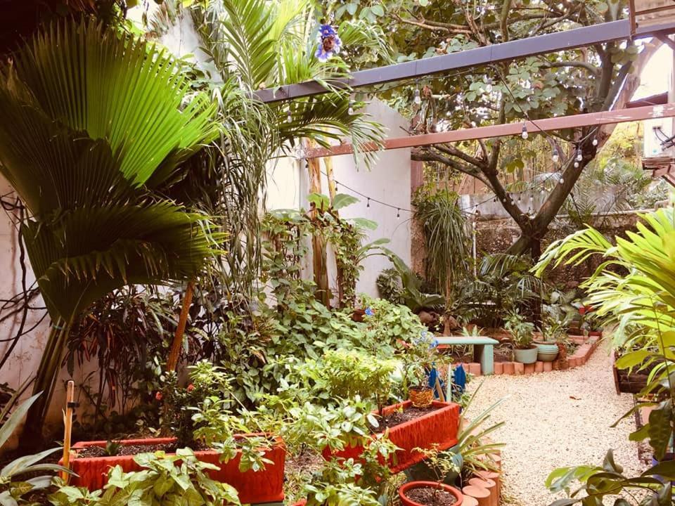 Hotel Casa Pellegrin Mérida Buitenkant foto