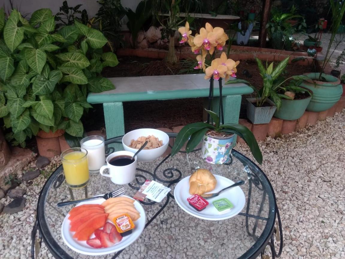 Hotel Casa Pellegrin Mérida Buitenkant foto